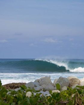 Surfing