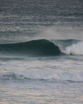 Surfing