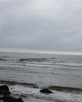Surfing