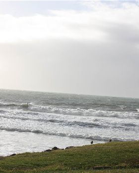 Surfing