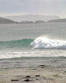 Surfing