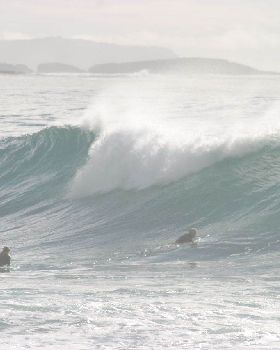 Surfing