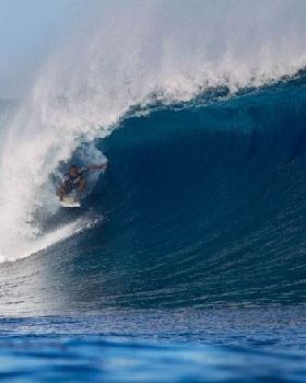 wildcard184fiji12kirstin 660