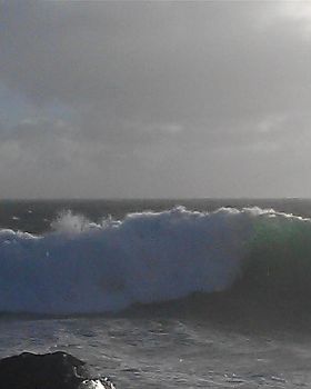 IMAG0483