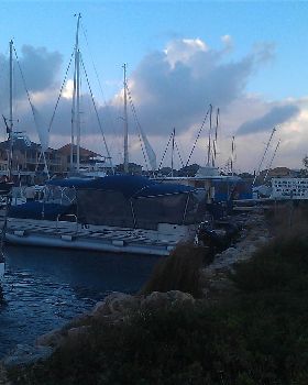 IMAG0490