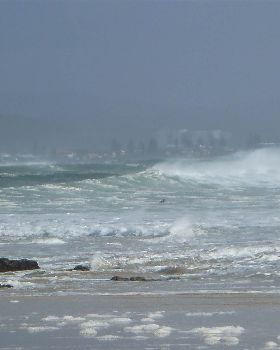 P1000041
