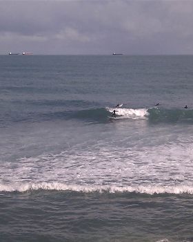 IMAG0135