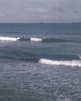 IMAG0138