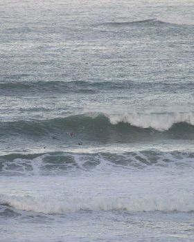 Surfing