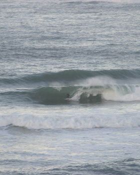 Surfing