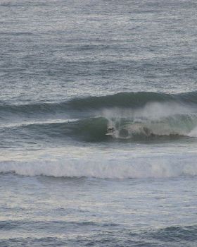 Surfing