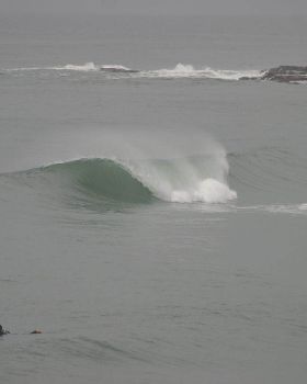 Surfing