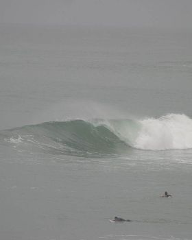 Surfing