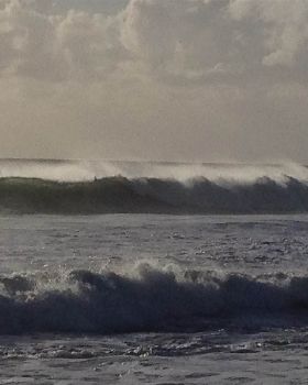 Surfing