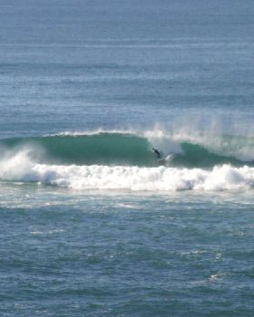 Surfing