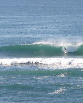 Surfing