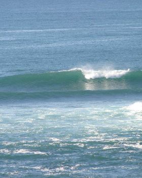 Surfing