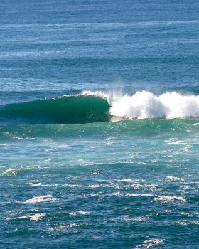 Surfing