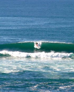 Surfing
