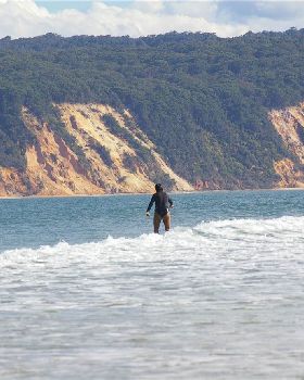 Surfing