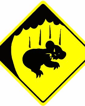 drop bears