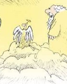 god and dogs