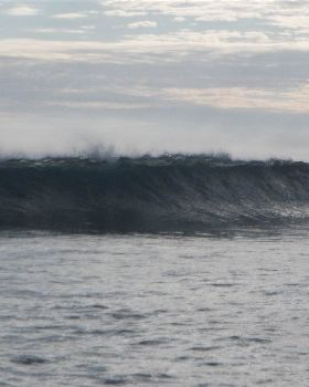 Surfing