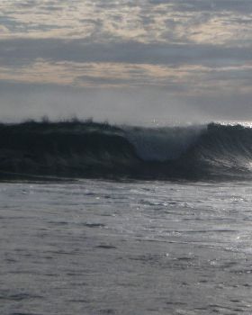 Surfing