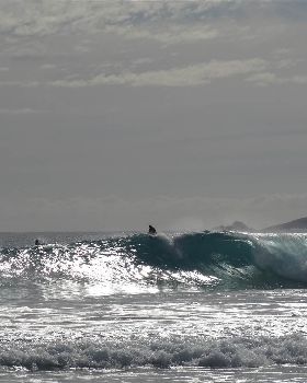 Surfing