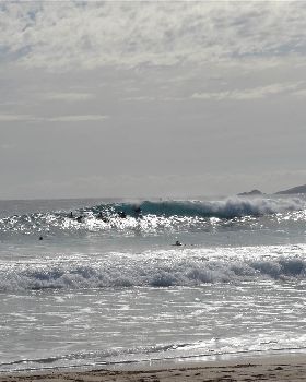 Surfing