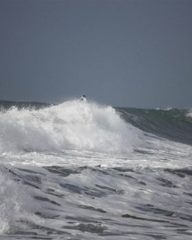 Surfing