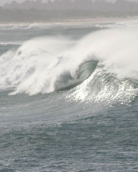 Surfing