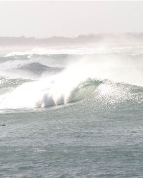 Surfing