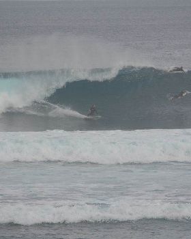 August Surfing