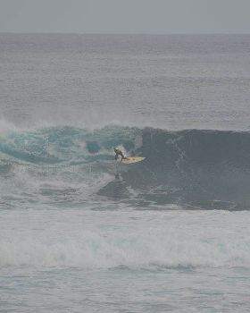 August Surfing