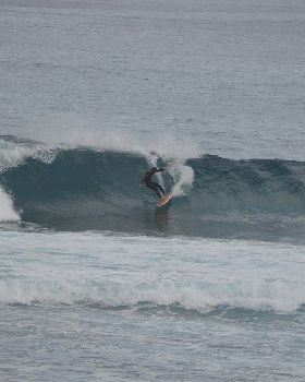 August Surfing