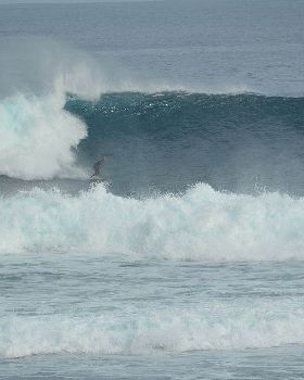 August Surfing