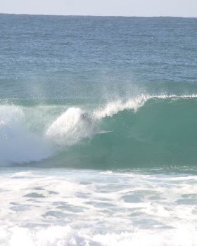 Surfing