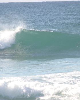 Surfing