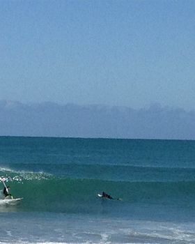 Surfing