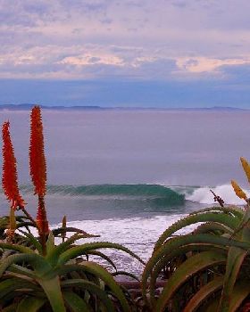 J-Bay South Africa