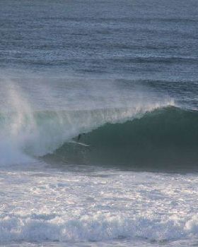 Surfing