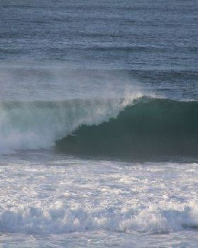 Surfing