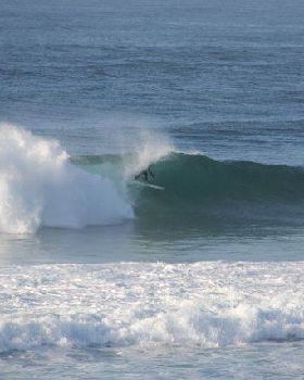 Surfing