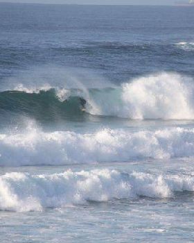 Surfing
