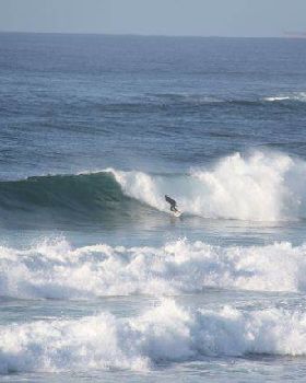 Surfing