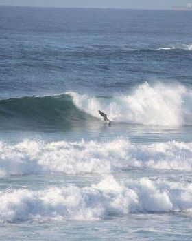 Surfing