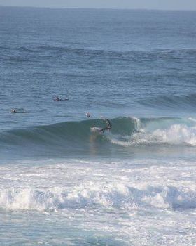 Surfing