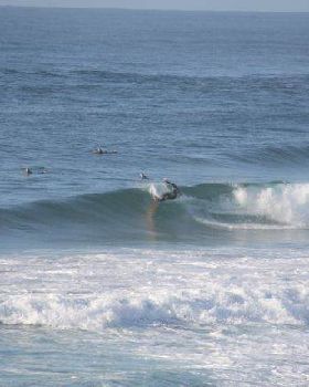 Surfing