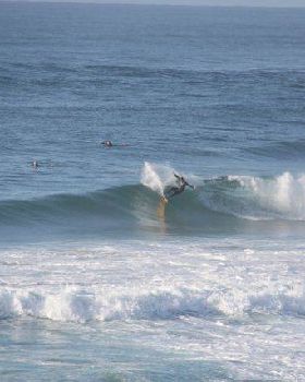 Surfing